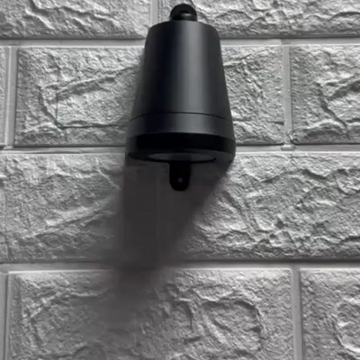 Dart Mouth Wall Lamp IP65 Black